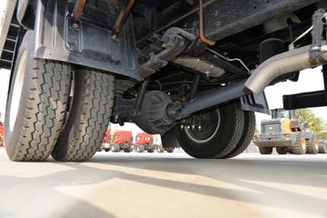 һ������ ��Ź�ʨ 150���� 4.2�׵�����ʽ�ῨͼƬ