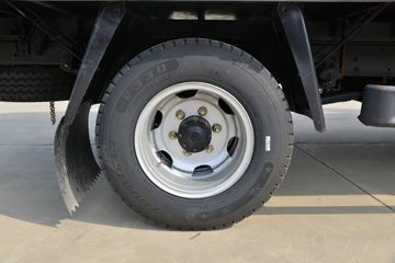 һ������ ��Ź�ʨ 150���� 4.2�׵�����ʽ�ῨͼƬ