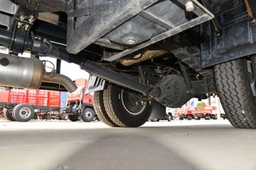 һ������ ��Ź�ʨ 150���� 4.2�׵�����ʽ�ῨͼƬ