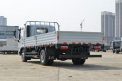 东风 凯普特星云K7 标准版 185马力 4.8米排半栏板轻卡(国六)(EQ1120S8TDC)