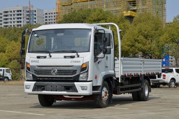 东风 凯普特星云K7 标准版 185马力 4.8米排半栏板轻卡(国六)(EQ1120S8TDC)