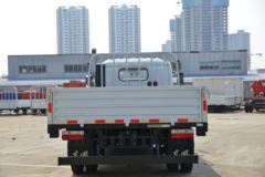 东风 凯普特星云K7 标准版 185马力 4.8米排半栏板轻卡(国六)(EQ1120S8TDC)