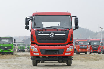 ó VLؿ 300 6X4 9.76ػ(DFH1250AX7)ͼƬ