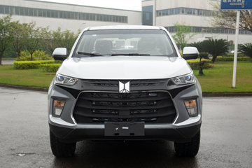 ������ʮ�� �￧TAGA H 2022�� �������� ��׼��� 2.0T���� 184���� ���� �Զ���˫��Ƥ��(����)ͼƬ