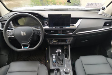 ������ʮ�� �￧TAGA H 2022�� �������� ��׼��� 2.0T���� 184���� ���� �Զ���˫��Ƥ��(����)ͼƬ