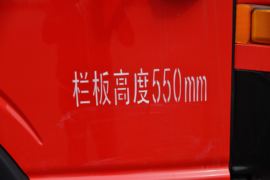 德沃斯V8&nbsp;载货车外观                                                图片