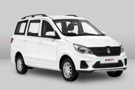 博腾V1 VAN/轻客外观图片