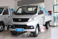 优惠0.3万 汉中市祥菱V1载货车火热促销中