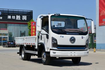 陕汽商用车 轩德翼9 速运版 150马力 4X2 4.15米单排栏板轻卡(国六)(SX1040NP633)