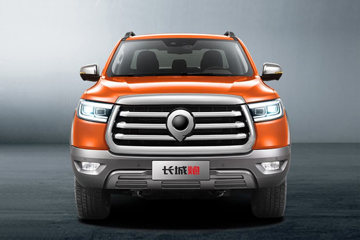  2021 ȫ 2.0T 163 Զ ˫ϹƤ ͼƬ