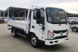 欧铃S1&nbsp;载货车外观                                                图片