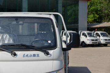 ���� С����W17 2L 133���� 3.95�׵�������С��(����)(EQ1031S60Q6)ͼƬ