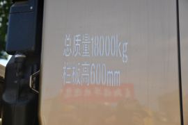 奥铃大黄蜂&nbsp;载货车外观                                                图片