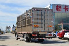 福田 奥铃大黄蜂 Home版 230马力 6.8米排半仓栅式载货车(国六)(BJ5186CCYLPFK-AD1)