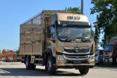 福田 奥铃大黄蜂 Home版 230马力 6.8米排半仓栅式载货车(国六)(BJ5186CCYLPFK-AD1)