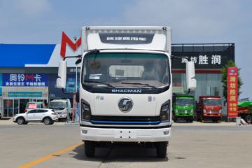 陕汽商用车 轩德翼9 标载版 130马力 3.82米排半厢式轻卡(SX5041XXYNP63311)