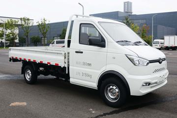 帅舰&nbsp;电动载货车外观图片