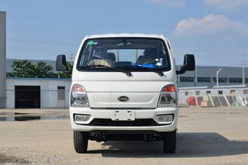 凯马 锐航X1 2.0L 122马力 CNG 双燃料 3.95米单排栏板微卡(KMC1039NG318D6B)