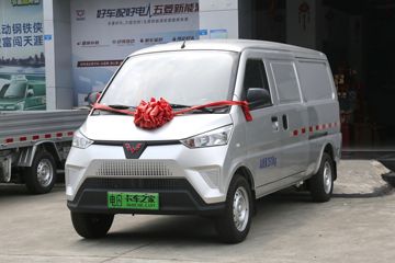 五菱EV50&nbsp;电动封闭厢货外观图片