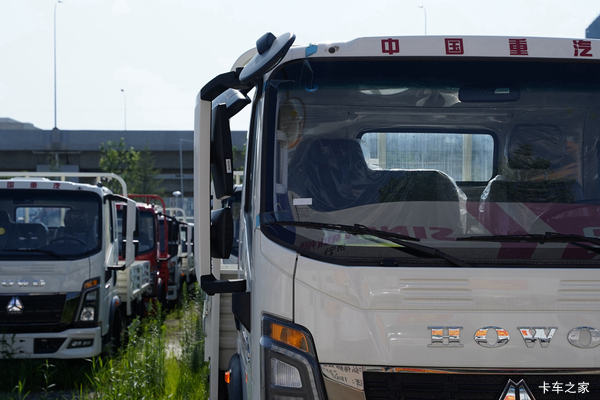 ѡ���й�����������ͳ˧������Ӯ����׬Ǯ�е�