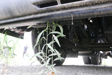 �������� ��ʨC6�ؿ�PRO 460���� 6X4 ǣ����(����)(CQ4257HV11334)ͼƬ