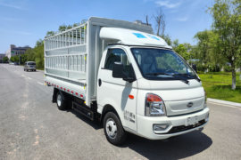 锐航EV&nbsp;电动载货车外观图片