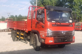 福瑞卡F8&nbsp;载货车外观                                                图片