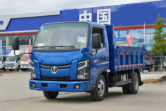飞碟奥驰 T1系列 110马力 4X2 3.2米自卸车(国六)