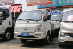 凯马 锐航X1 2.0L 122马力 CNG 双燃料 3.95米单排栏板微卡(国六)(KMC1039NG318D6)