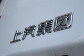大通V80 VAN/轻客外观图片