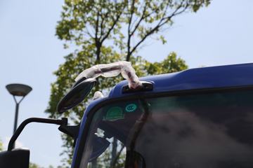 �Ͽ����� ���D50 220���� 6X2R 4.1����ж��ͼƬ