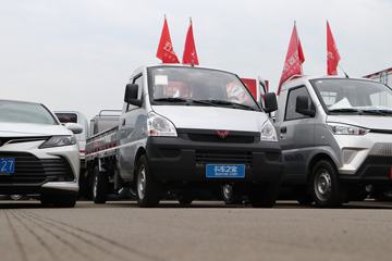  ٹС ӳ 1.5L 102  2.96׵΢(LZW1029LEQUA)ͼƬ