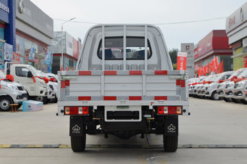 Խ ±T1 1.24L  ׼ 91 2˫΢(SC1021XLS6B1)ͼƬ