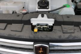 新海狮EV&nbsp;电动封闭厢货底盘图片