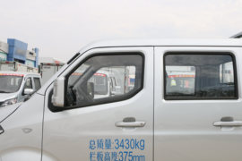 神骐T30 载货车外观                                                图片