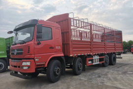 WS系列&nbsp;载货车外观                                                图片