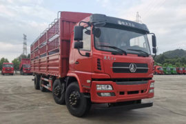 WS系列&nbsp;载货车外观                                                图片