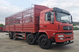 WS系列&nbsp;载货车外观                                                图片