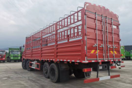 WS系列&nbsp;载货车外观                                                图片