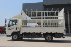 追梦载货车新车上市欢迎到店垂询 找到先得周口万国车世界泽隆直营店