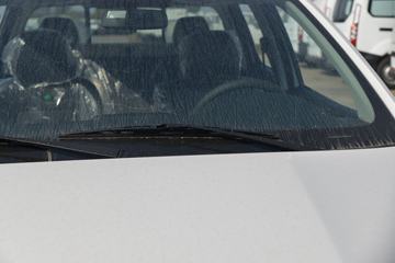 ���� �±��� 2022�� ������ 2.5T���� 140���� �ֶ����� ����˫��Ƥ��(����)ͼƬ