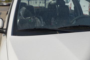 ���� �±��� 2022�� ������ 2.5T���� 140���� �ֶ����� ����˫��Ƥ��(����)ͼƬ