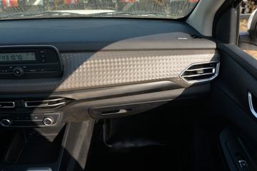 ���� �±��� 2022�� ������ 2.5T���� 140���� �ֶ����� ����˫��Ƥ��(����)ͼƬ