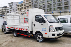 瑞迪 载货车外观                                                图片