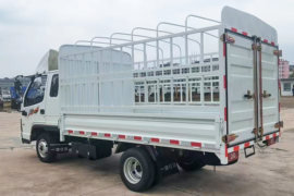 福瑞F6&nbsp;载货车外观                                                图片