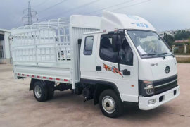 福瑞F6&nbsp;载货车外观                                                图片