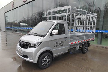 成功 斑马 舒适型 1.5L 116马力 汽油 2.9米单排仓栅式微卡(国六)