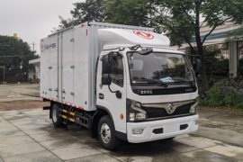 福瑞卡F6&nbsp;电动载货车外观图片