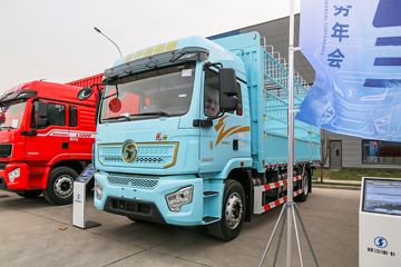陕汽重卡 德龙L5000 菁英版 260马力 4X2 6.8米仓栅式载货车(国六)