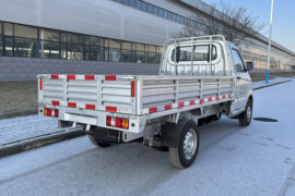 成功骆驼&nbsp;电动载货车外观图片